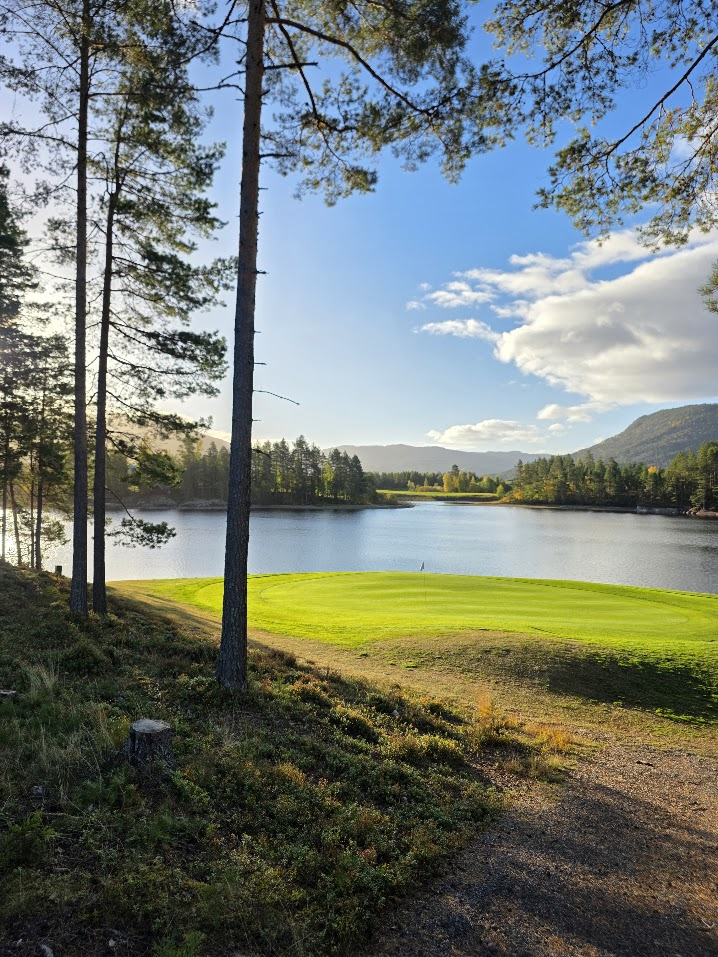 Green på Vrådal Golf ved Nisser, med furutrær og fjell i bakgrunnen